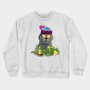 Moody Sunday Chillin Beanie Puppy Crewneck Sweatshirt